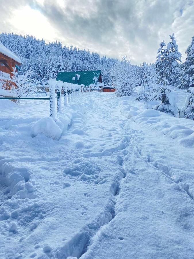 Vikendice Itana Βίλα Žabljak Εξωτερικό φωτογραφία