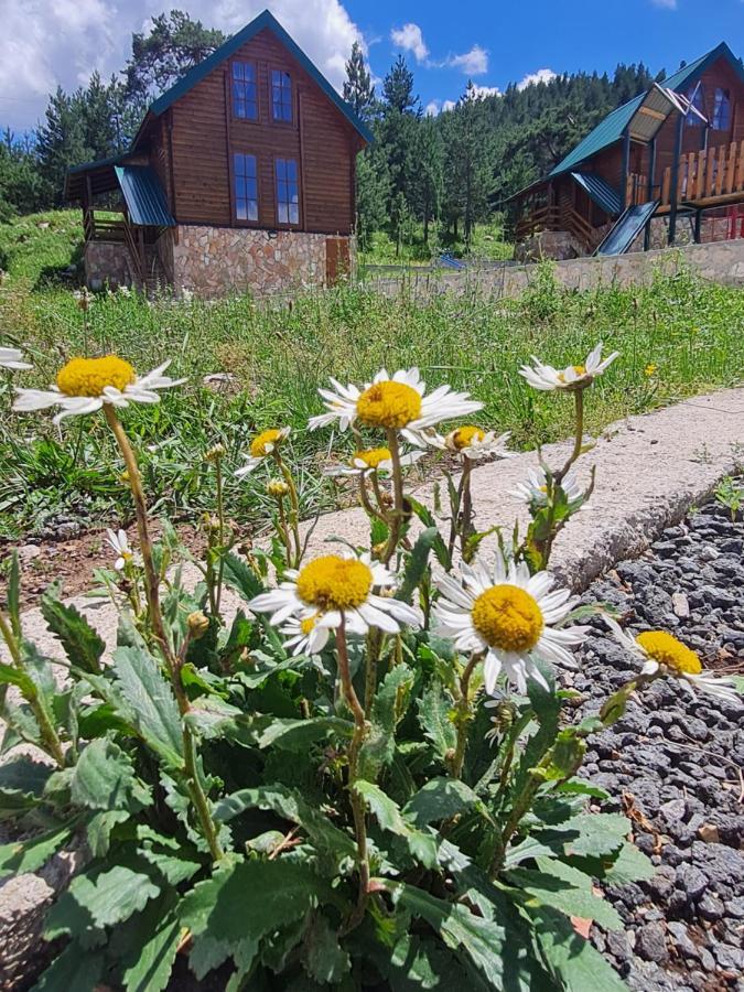 Vikendice Itana Βίλα Žabljak Εξωτερικό φωτογραφία